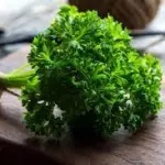 PEREJIL ROLLO
