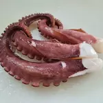 TENTACULO DE POLVO