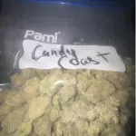 Candy Coast: Sativa