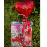 Kit 2 vermelho