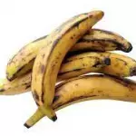 platano macho