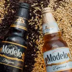 Modelo
