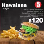 HAWAIANA #5