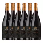 SALENTEIN RESERVA CORTE DE TINTAS