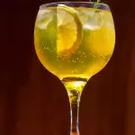 Gin Tropical - Premium
