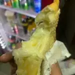 3 QUEIJOS