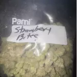 Strawberry Bite: Hybrid