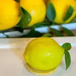 Entremet Limão siciliano