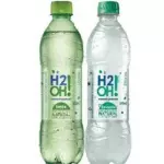 H2O