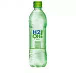 H2O