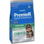 PREMIER YORKSHIRE FILHOTE