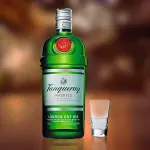 Dose Gin Tanqueray