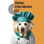 Dieta: Cão Sênior
