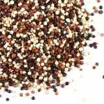 Quinoa tricolor