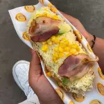 PERRO SUPER ESPECIAL