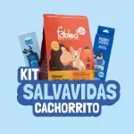 Kit cachorro SALVAVIDAS
