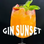 GIN SUNSET