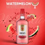 GIN ROCKS WATERMELON 1L