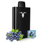 Ignite v80 blueberry ice