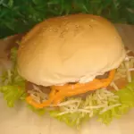 Hambúrguer Especial
