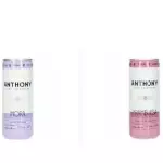 VINO ANTHONY MORA LATA 250ML