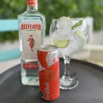 Gin de verano