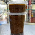 Bolognesa
