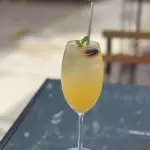 Mimosa