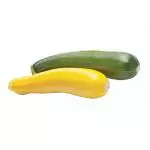 Zucchini