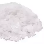 Sosa Cautica