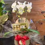 Box Orquíde & Choco