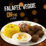 Lunch Falafel 🌱Ⓥ