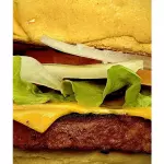 HAMBURGUESA VEGETARIANA