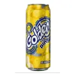 Bulto Golden Piña Lata 335ml