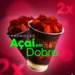 AÇAÍ EM DOBRO 330ML