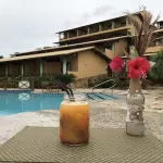 Mango Tequilla Sunrise, beber a 2