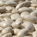 FAVA BRANCA FRESCA