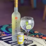Pisco Tonic de la casa