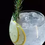 GIN TONICA CLÁSSICO