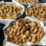 🍗100 salgados variados