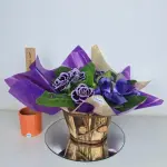 A434 Gloxinia "Encanto Rubro"