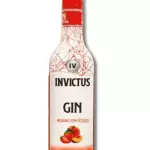 Gin Invictus Pêssego e Morango 900ml