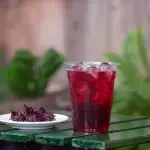 Agua de Jamaica