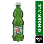 Canadá Dry 600ml