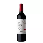 ARGENTINO MALBEC