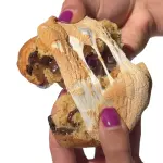 GALLETA DE S’MORES