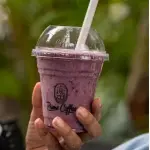 Açaí Proteico