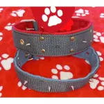 COLLAR CON PINCHOS