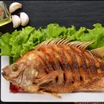 Ref.Peixe tilápia