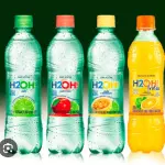 H2O